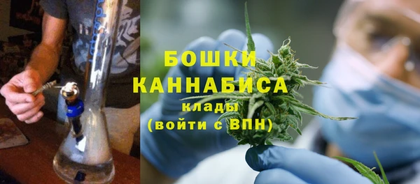трава Арсеньев