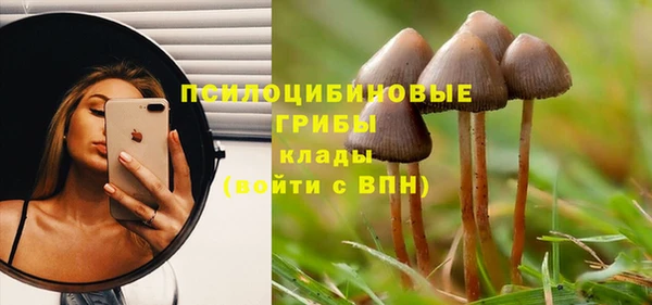 трава Арсеньев