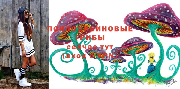 ПСИЛОЦИБИНОВЫЕ ГРИБЫ Аркадак