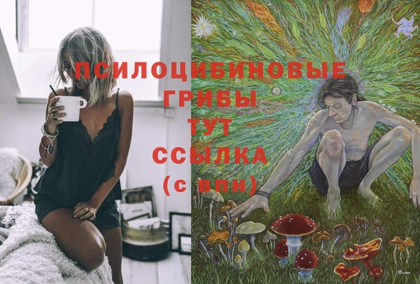 трава Арсеньев