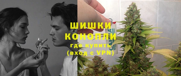 трава Арсеньев